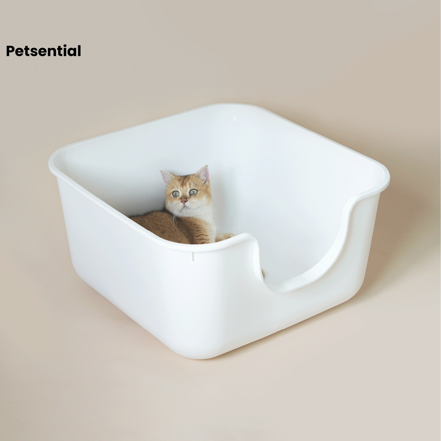 Petsential ห้องน้ำแมว กระบะทรายแมวขอบสูง มินิมอล ใหญ่พิเศษ ขนาด 60x60x35 ซม. พร้อมที่ตักทราย ราคา 899 บาท*ส่งฟรี