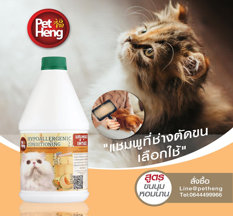 Petheng Cat Shampoo Shed Control เพ็ทเฮงแชมพูแมวป้องกันเห็บ หมัด ไร ลดการหลุดร่วงของขน 1000 ml. กลิ่นพฤกษา