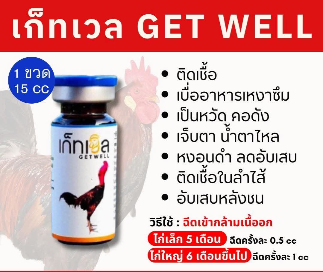 เกรทเวล GET WELL