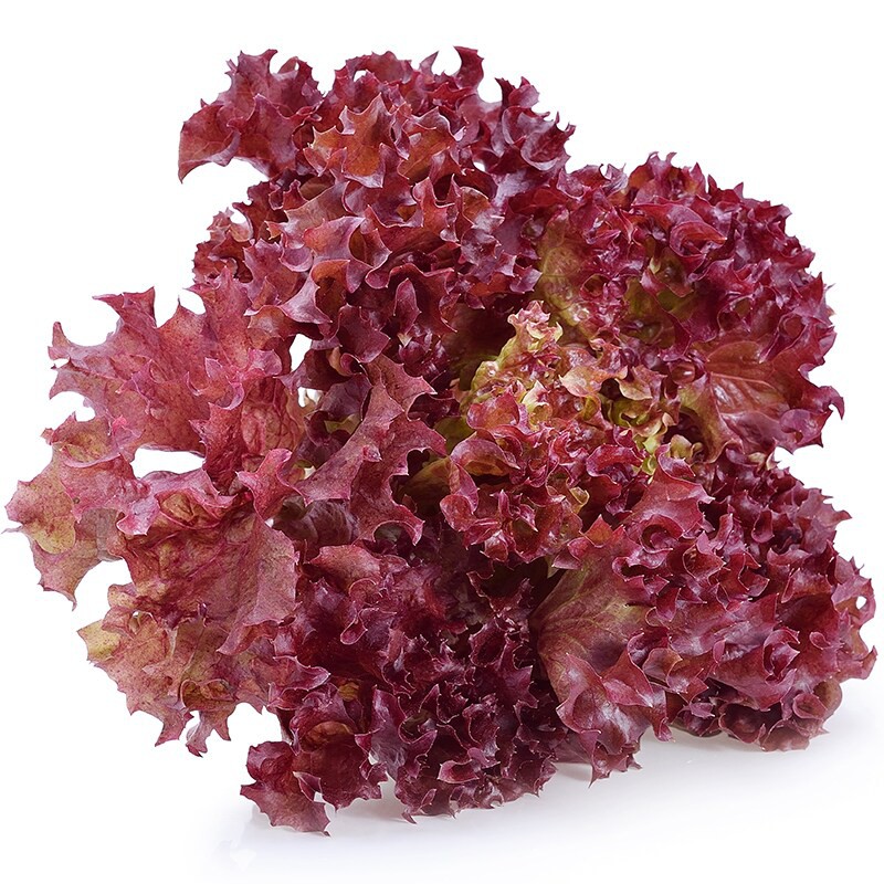 น้ำตาลแดง-2