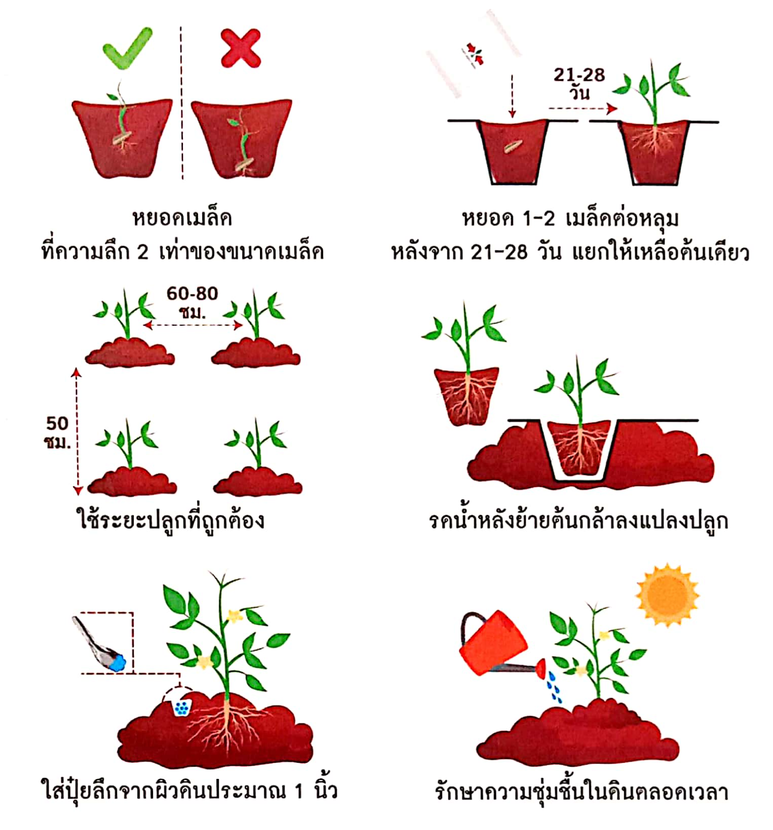 เขียว-2