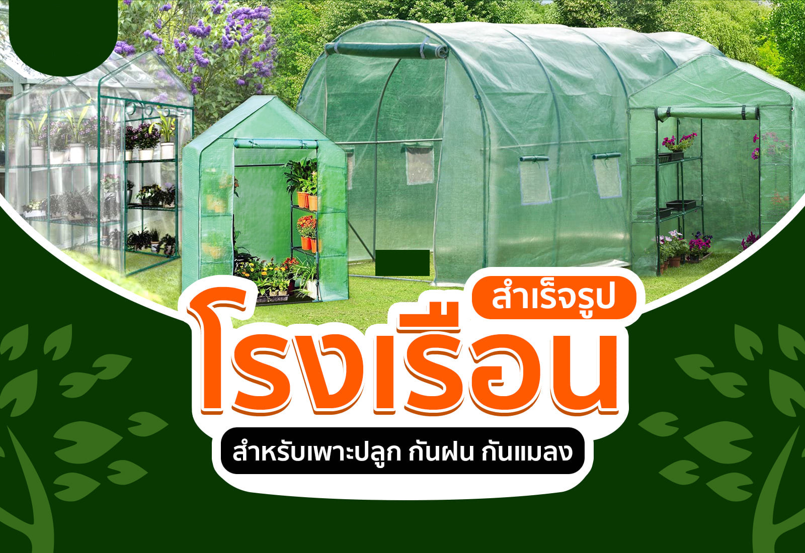 มะกอก-2