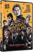 Caught Stealing /คนเดือดขวางทางโจร (SE) (DVD มีเสียงไทย-มีซับไทย) (แผ่น Import)