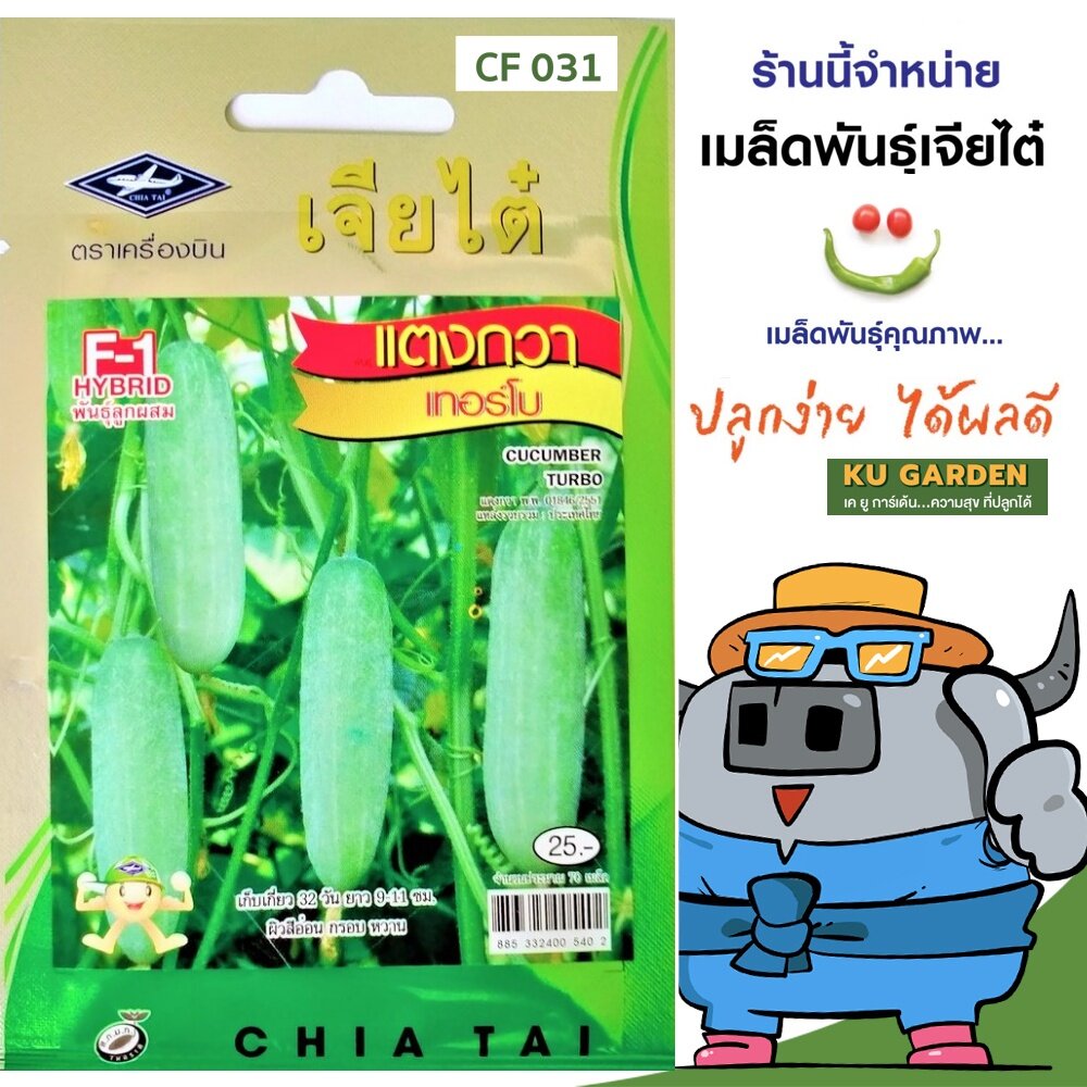 CHIATAI 🇹🇭 ผักซอง เจียไต๋ F031#แตงกวา เทอร์โบ F1 ประมาณ 70เมล็ด เมล็ดพันธุ์ผัก เมล็ดผัก เมล็ดพืช ผักสวนครัว