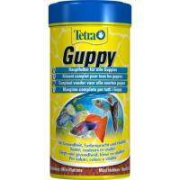 75 กรัม - Tetra Guppy สำหรับปลาหางนกยูง ปลาคิลลี่และปลาออกลูกเป็นตัวชนิดอื่นๆ (อาหารชนิดแผ่น)