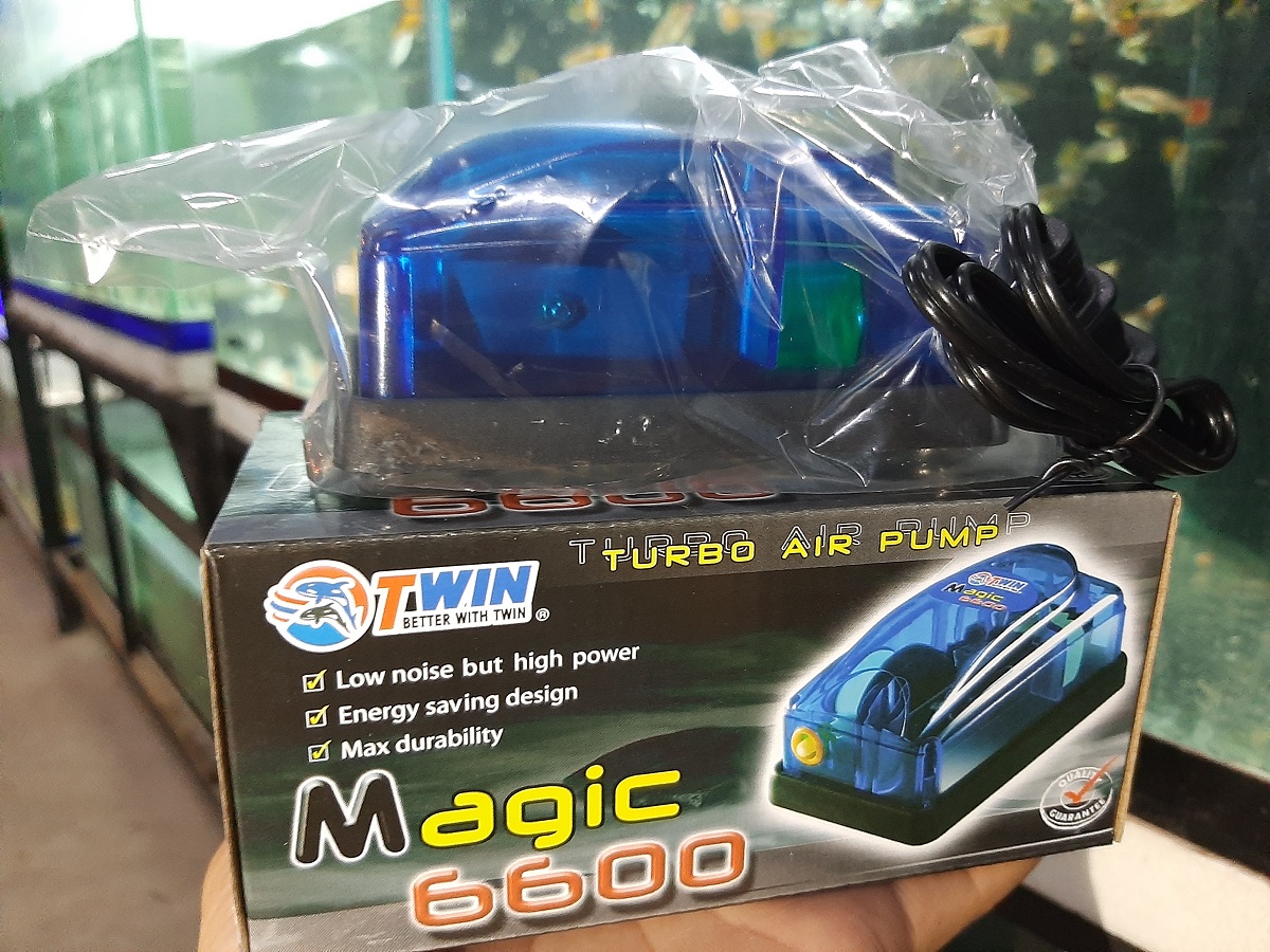 ปั๊มออกซิเจน ปั๊มลมตู้ปลา 1 ทาง Twin Magic 6600 (TURBO AIR PUMP) : ปรับความแรง 2 ระดับ, เสียงรบกวนต่ำ(เงียบ), พลังสูง(ลมแรง), ประหยัดไฟ กำลังไฟ 3 W (220V), ทนทาน