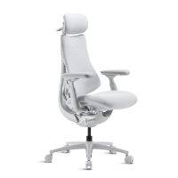 Modernform เก้าอี้เพื่อสุขภาพ LiberNovo รุ่น OMNI PRO แบบ Electric Airflow ขาอะลูมิเนียม รับประกัน 5 ปี