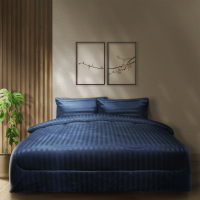 MIDORI Home Premium รุ่น Jacquard ชุดเครื่องนอน รวมลายริ้ว