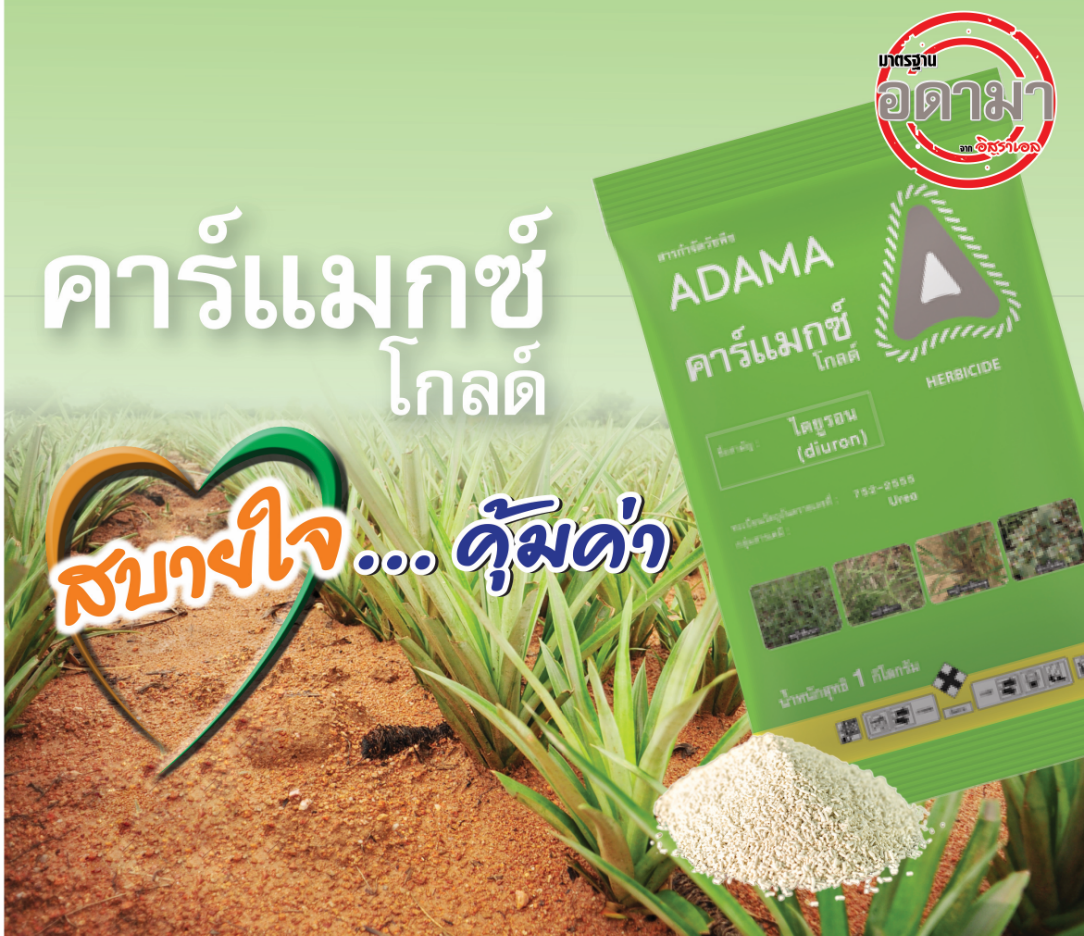 สีขาว-2