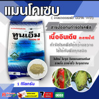 ทูนเอ็ม แมนโคเซบ (mancozeb)( 1 กิโลกรัม ) สีเหลือง สารป้องกันและกำจัดเชื้อรา โรคพืชต่าง ๆ ได้มากมาย