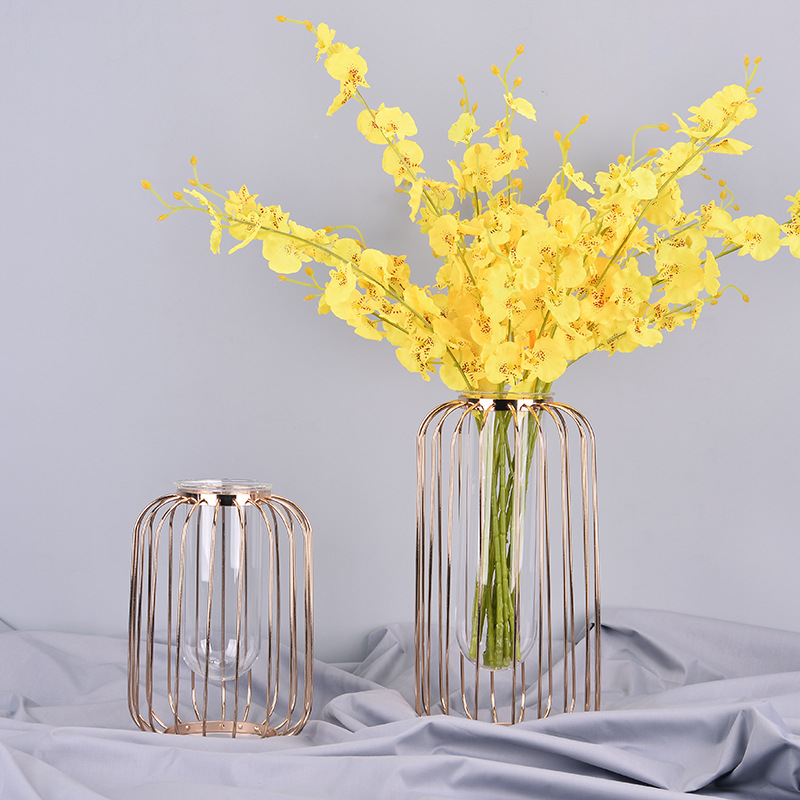 แจกัน เบแร็กนา Test Tube Vase Planter, Light-lantern Shaped Metal Rack Stand Glass Vases Crystal Clear Flower Vase Decorative