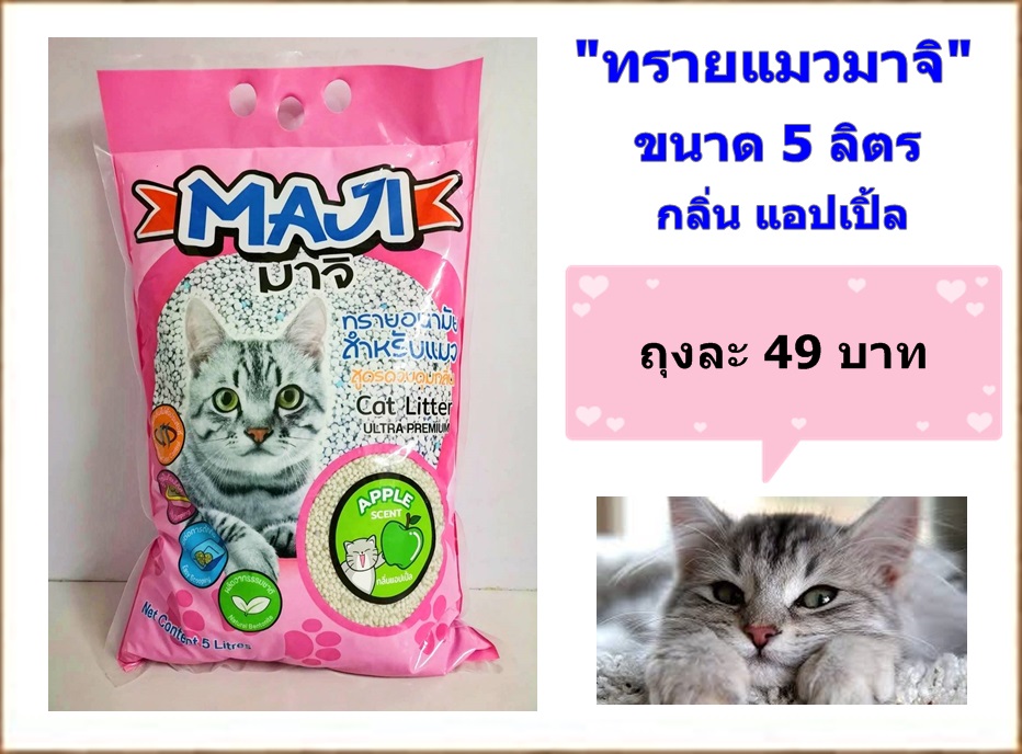 ทรายแมว ราคาถูก 