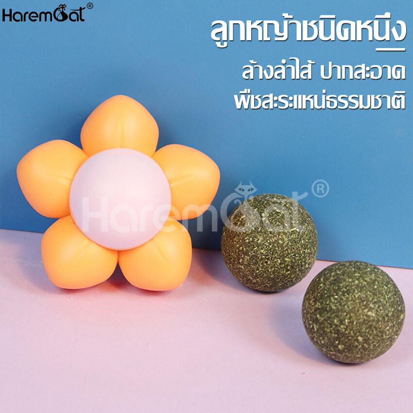 Hemp cat cat candy Carrie resistant PJs Nagar shaped knife Wall Flower have BMW3 color choose Carrie resistant PJs ปรู Fibber breasted wood Catnip Ball toy cat lick Carrie resistant ิป cube style hemp cat stick wall relaxed ราคา 35 บาท*ส่งฟรี