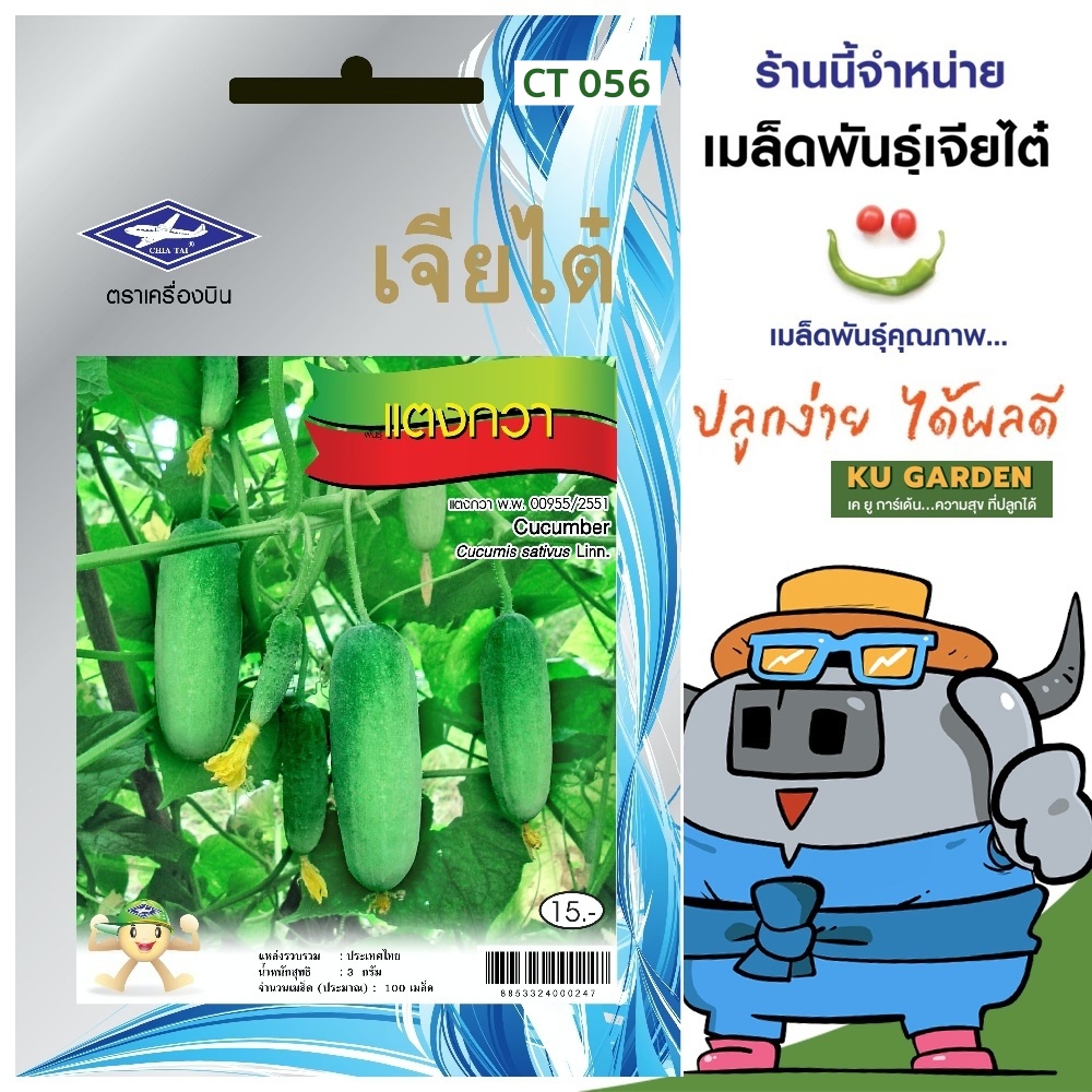 CHIATAI 🇹🇭 ผักซอง เจียไต๋ แตงกวา O056 ประมาณ 55 เมล็ดเมล็ดพันธุ์ เมล็ดพันธุ์ผัก ผักสวนครัว ผักเจียไต๋ Chia Tai ตราเครื่องบิน