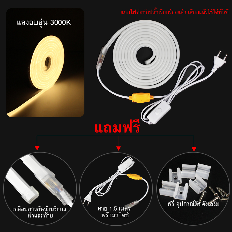 ไฟแถบนีออน neon flex LED ดัดงอได้ ยาว3/5/10ม สีสวยกันน้ำแรงดัน 220V รวมถึงปลั๊ก 3 สีให้เลือก