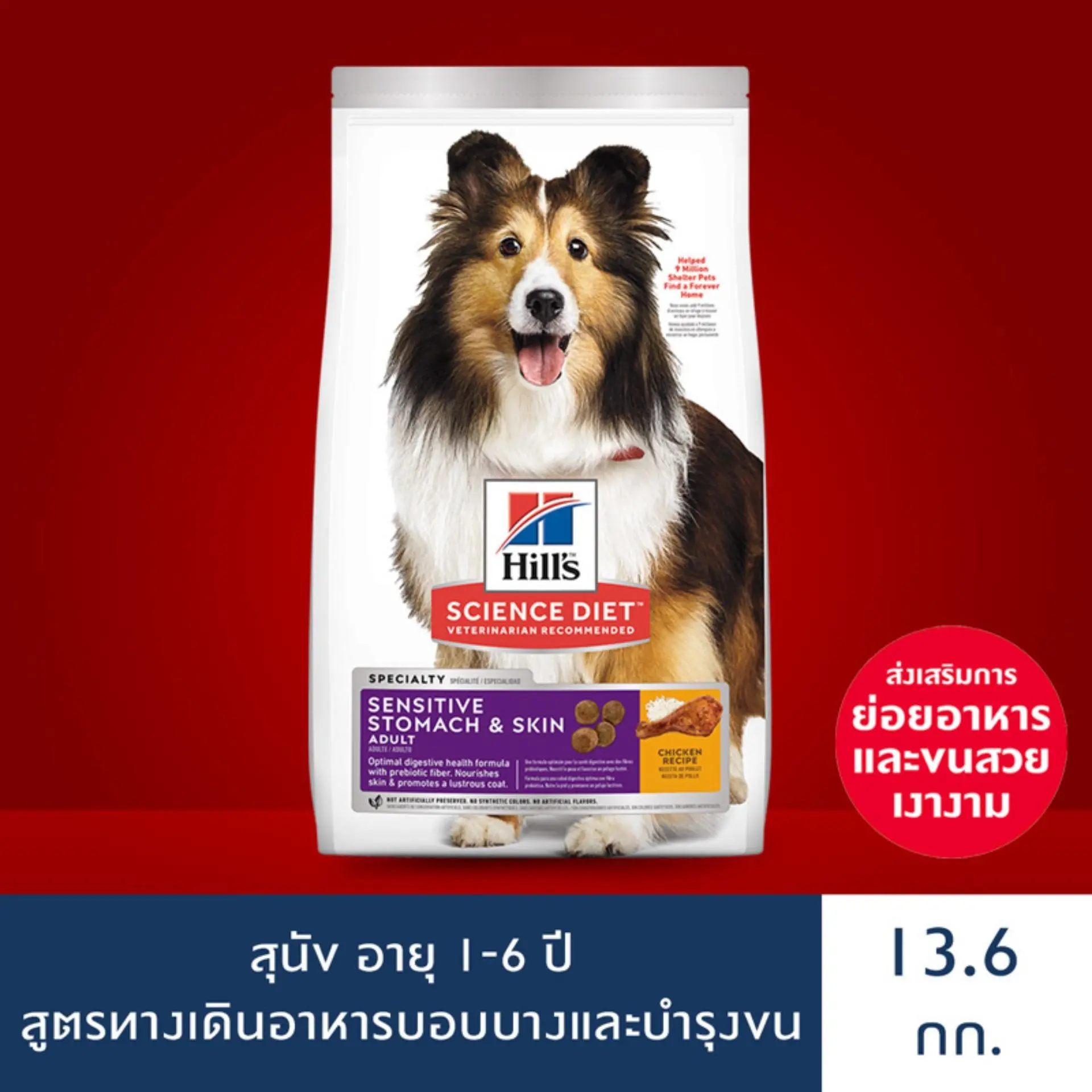 Hill's Science Diet Sensitive Stomach & Skin อาหารสุนัข อายุ 1-6 ปี สูตรทางเดินอาหารบอบบางและบำรุงขน ขนาด 13.6 กก.