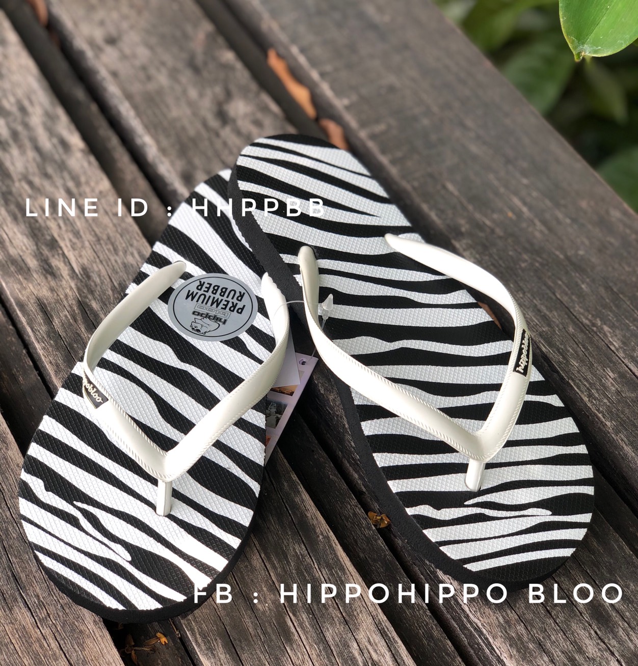 ม้าลาย หูขาว Zebra Hippo shoe รองเท้าแตะฮิปโป No 36-37-38-39-40-41
