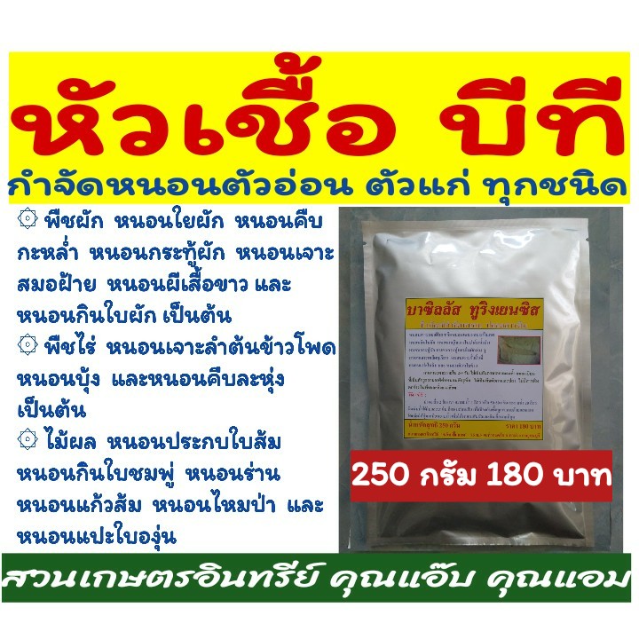 หัวเชื้อ บีที , บาซิลลัส ทูริงเยนซิส , BT ขนาด 250 กรัม กำจัด ป้องกัน หนอนทุกชนิด หนอนด้วงต่างๆ ไข่หนอน  ตามต้นพืช และในดิน