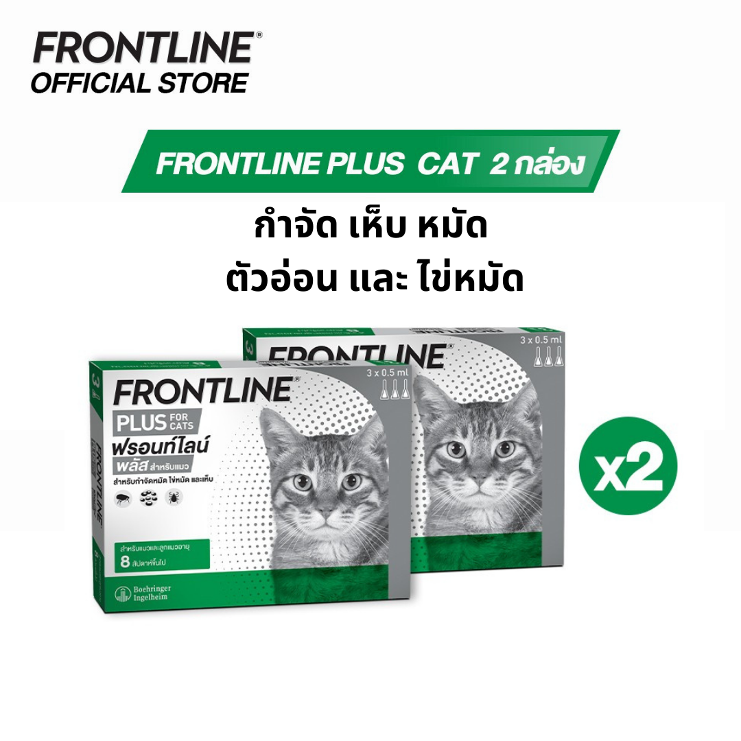 [ชุดสุดคุ้ม]FRONTLINE PLUS CAT ผลิตภัณฑ์หยดกำจัดเห็บหมัด สำหรับแมว (จำนวน 2 กล่อง 6 หลอด) ราคา 960 บาท*ส่งฟรี