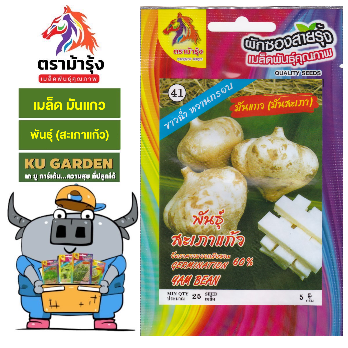 RAINBOW HORSE  🇹🇭 ผักซอง ม้ารุ้ง  Z041 มันแกว (สะเภาแก้ว) เมล็ดพันธุ์ เมล็ดพันธุ์ผัก เมล็ดผัก ผักสวนครัว ตราม้ารุ้ง
