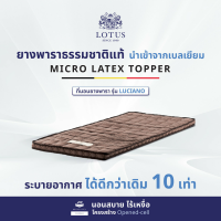 LOTUS ที่นอนยางพารา 100% **พับเก็บได้ รุ่น Luciano  ความหนา 2 นิ้ว Latex Made In Belgium ส่งฟรี
