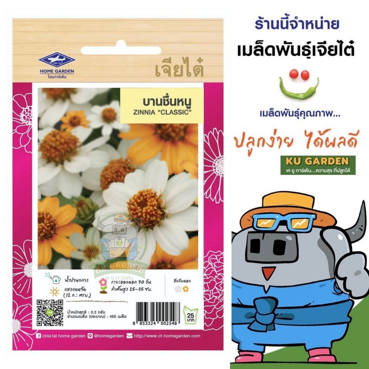 CHIATAI 🇹🇭 ดอกไม้ เจียไต๋ H016#บานชื่นหนู  ดอกไม้ซอง ผักซอง เมล็ดพันธุ์ เมล็ดพันธุ์ผัก เมล็ดพันธุ์ดอกไม้ ดอกไม้เจียไต๋ ตราเครื่องบิน