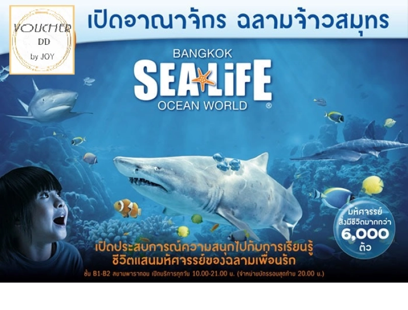 รูปภาพของบัตรซีไลฟ์ พารากอน Sea Life Ocean World Bangkok Sealife ซีไลฟ์ลองเช็คราคา