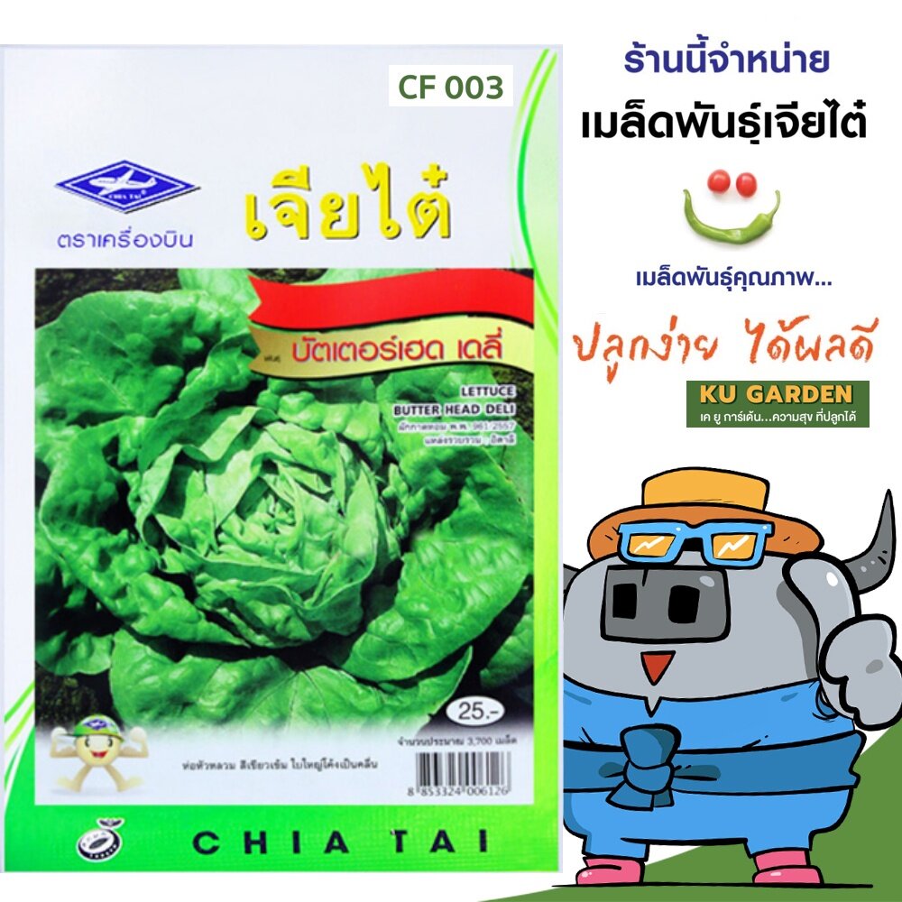 เจียไต๋-0