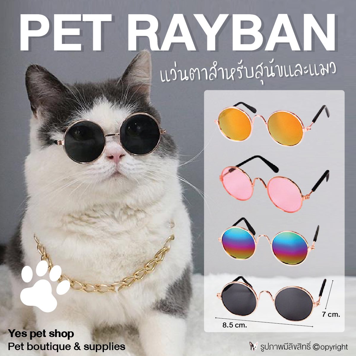 แว่นตาแมว แว่นตาสุนัขพันธุ์เล็ก แว่นตาสัตว์เล็ก Pet แว่นตาสัตว์เลี้ยง (แบบตัวเลือก) โดย Yes Pet Shop