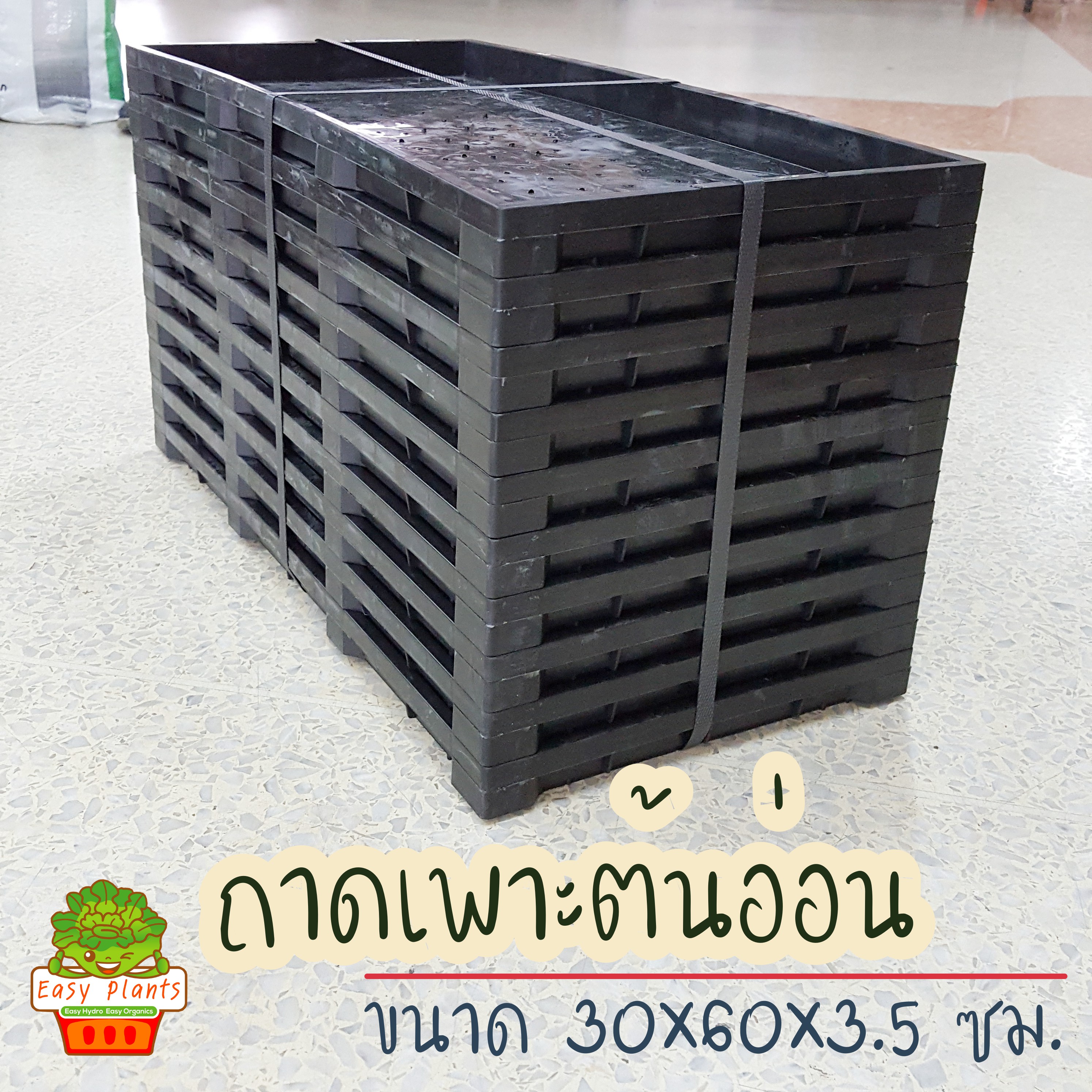 ถาดเพาะต้นอ่อน ถาดเพาะต้นกล้า ชุด 10 ใบ (มีรู/ไม่มีรู)