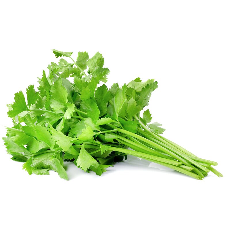 คื่นฉ่ายเจียไต๋-1