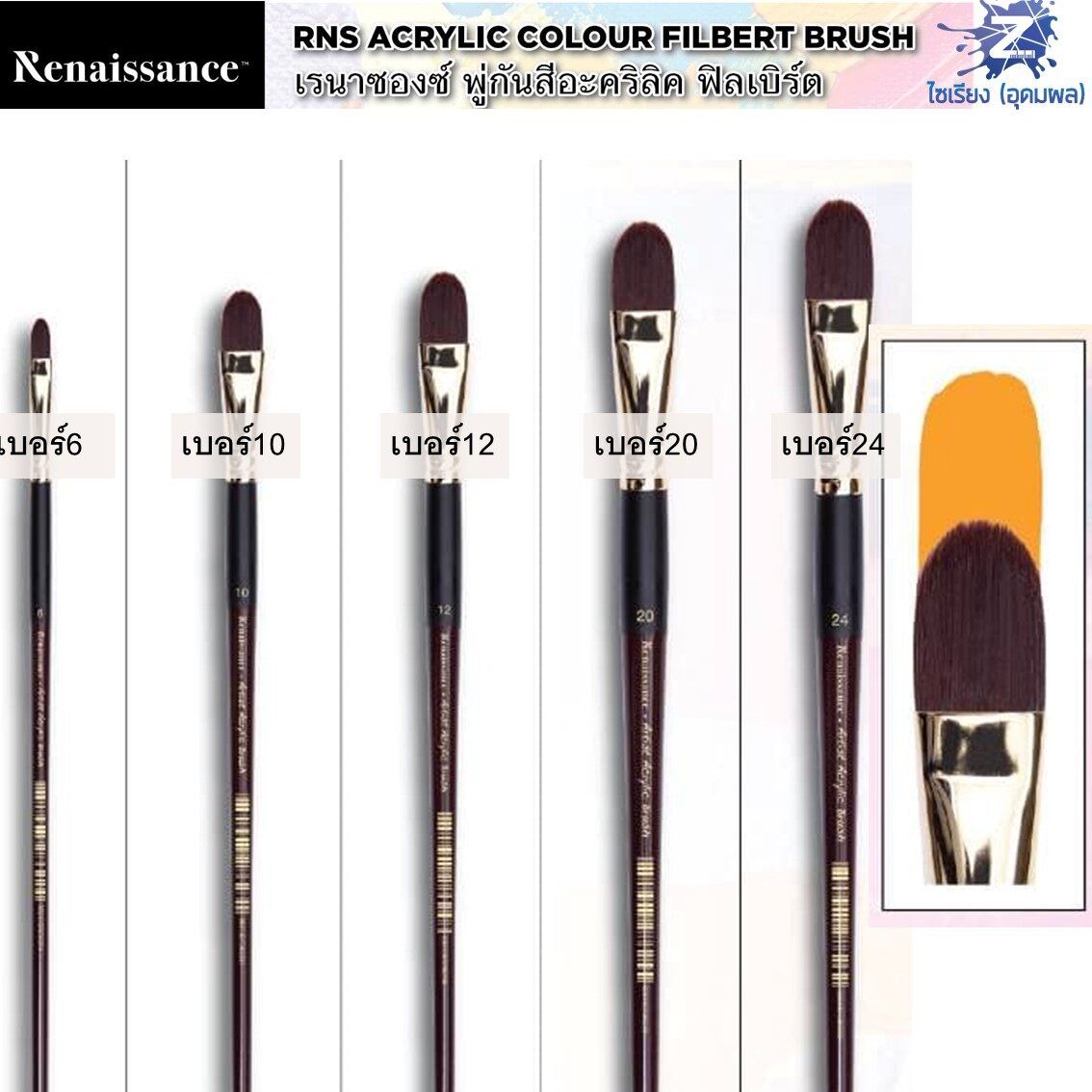 พู่กันสีอะคริลิค หัวแบน-ปลายมน อย่างดี Renaissance Acrylic color Filbert Brush มีหลายขนาดให้เลือก