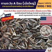 ทานตะวัน Aป้อม เม็ดใหญ่ เกรดA อาหารนกแก้ว และสัตว์ฟันแทะ สะอาด ร่อนฝุ่นทุกถุง (แบ่งขาย 250G / 500G / 1KG)