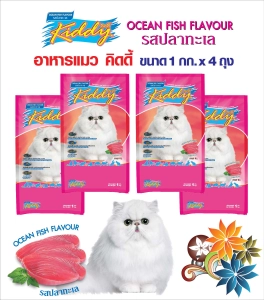 ภาพหน้าปกสินค้าอาหารแมว คิดดี้  Kiddy Ocean รสปลาทะเล  1 กก. 4 ถุง ที่เกี่ยวข้อง