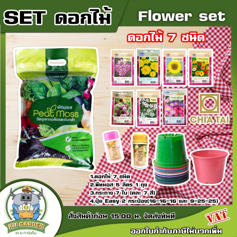 SET ดอกไม้ 7 ชนิด จิ๊บโดซฟิล่า บานชื่น แอสเตอรืสวิทดรีม ดาวกระจาย พีทมอส ปุ๋ย กระถาง สุดคุ้ม