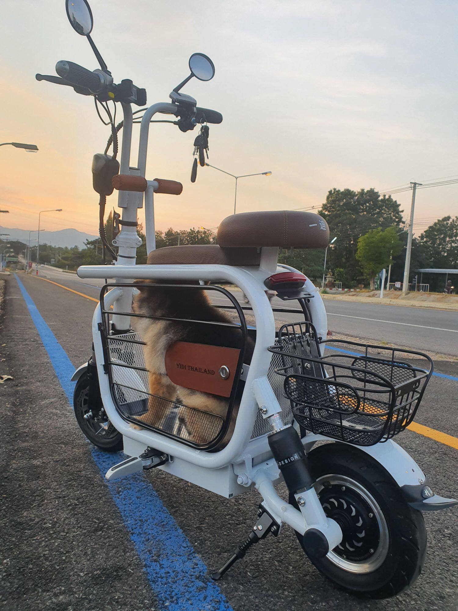 สกู๊ตเตอร์ไฟฟ้า สกูตเตอร์ รถไฟฟ้า รถใส่สัตว์เลี้ยง Electric Scooter ประหยัดไฟ การันตียอดขายมากที่สุดในไทย ต้องร้าน Yidi Thailand เท่านั้น!!