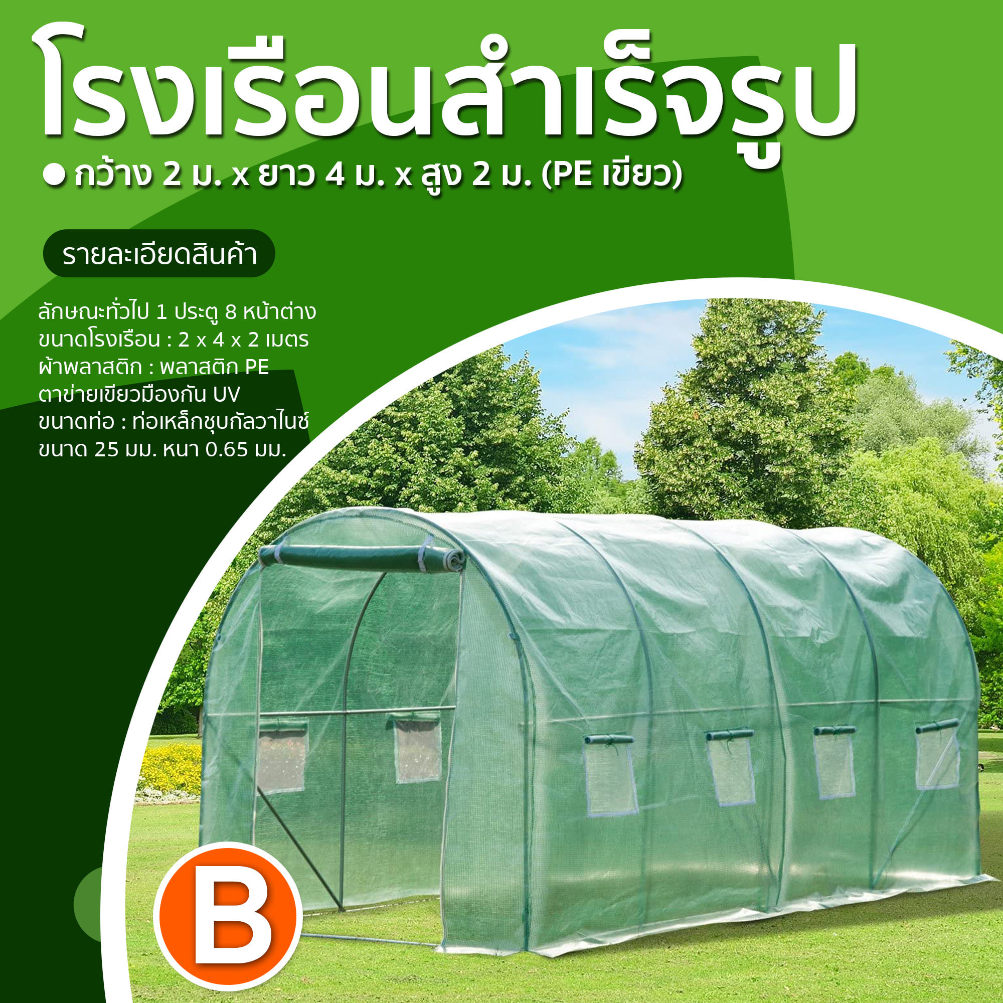 มะกอก-0