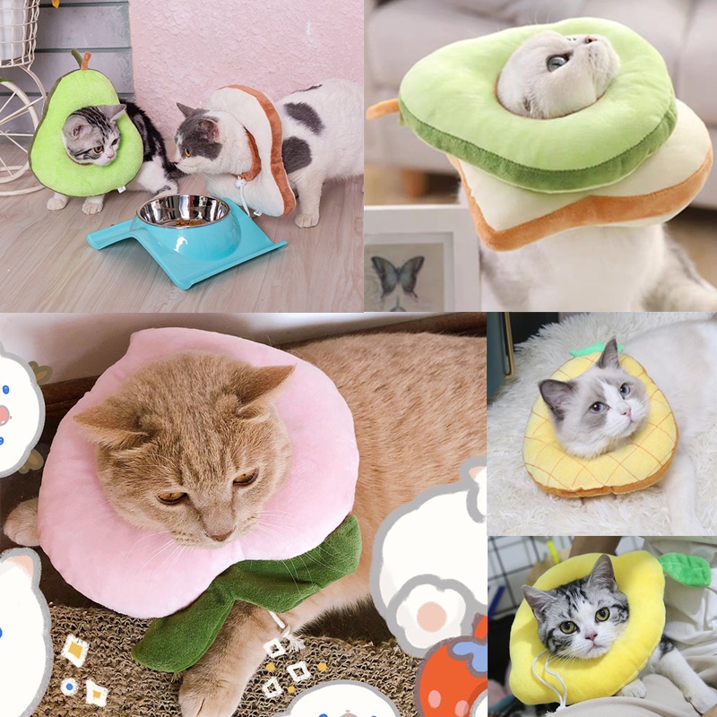 View of 6f6fc7ed3aa8143f5a8b880d11581464.jpg