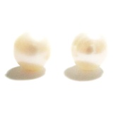 ต่างหูแฟชั่น TANITTgems ไข่มุกแท้ - TNER005 ขนาด 8 มม. สีขาว