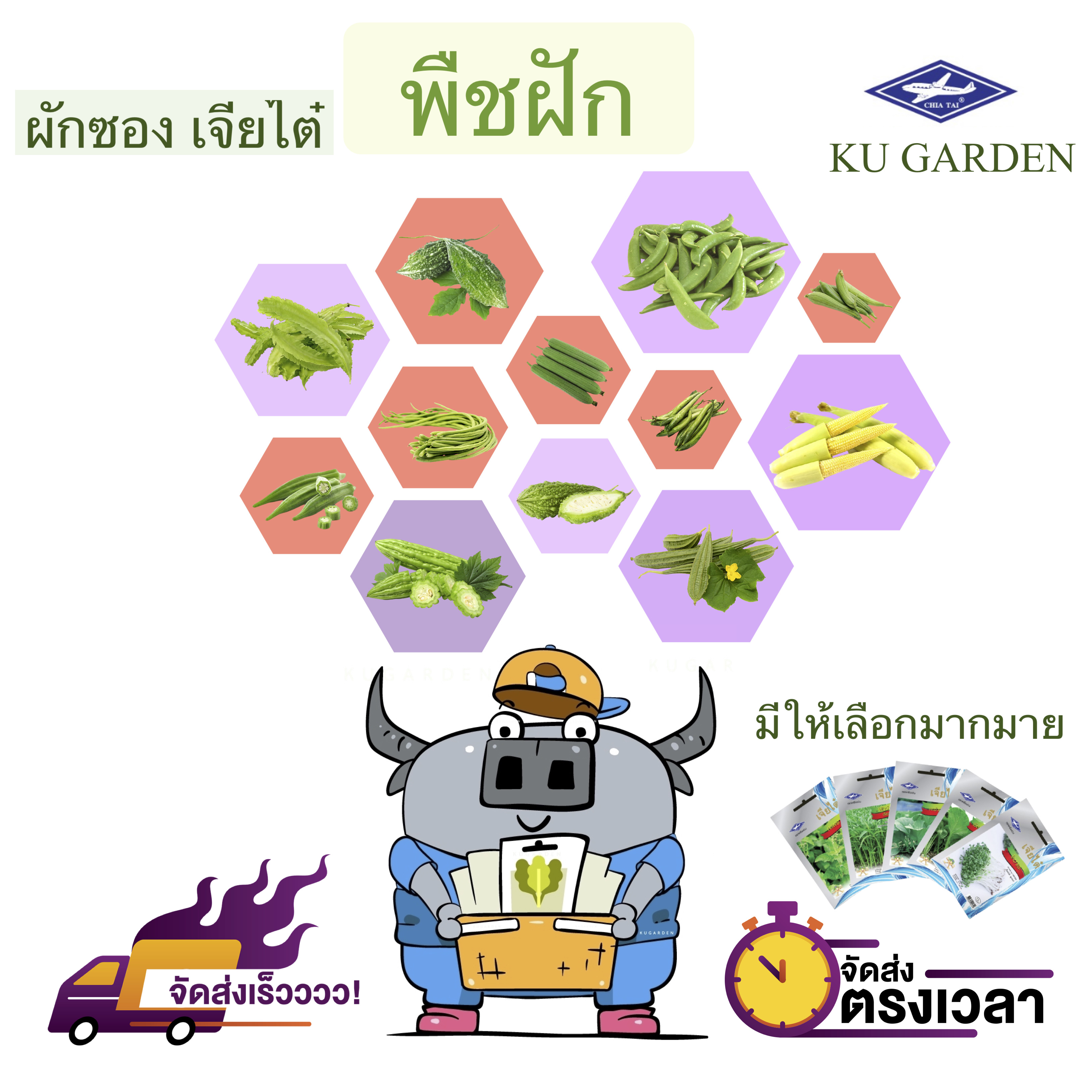บวบหอมลูกยาว-3
