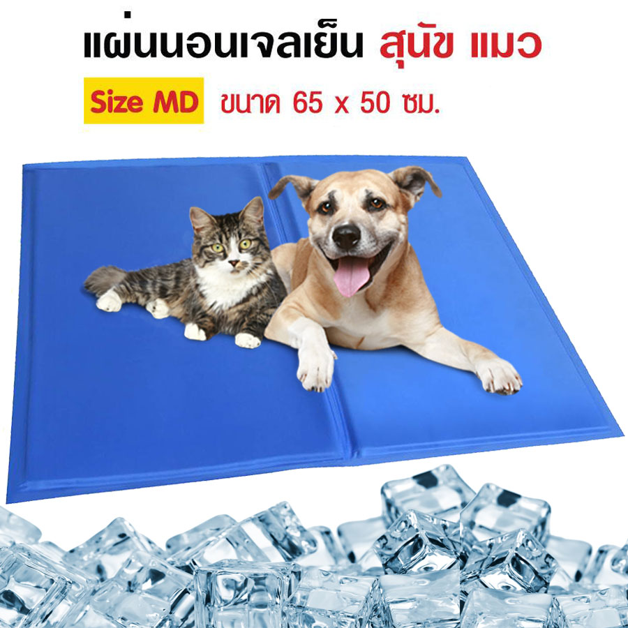 Alizzaa Pet Cool mat ที่นอนแผ่นเจลเย็น ที่นอนสุนัข แบบเย็น เบาะรองนั่ง รองนอน ที่นอนหมา ขนาด 50*65cm สำหรับสุนัขและแมว เย็นสบาย แผ่นหนา กัดไม่ขาด