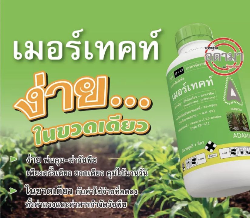 ขายยกลัง-2