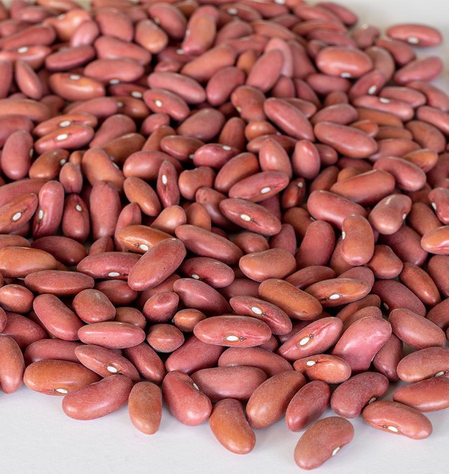 Rajma  (Kidney Beans) 500g ถั่วปิ่นโต
