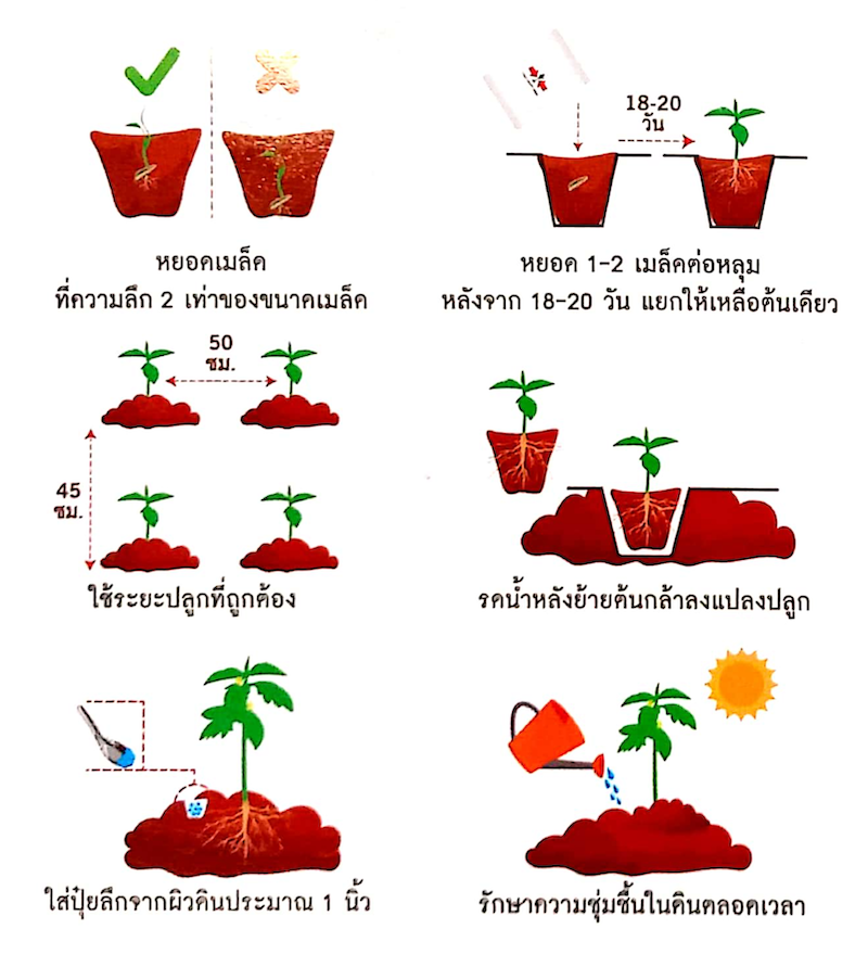 สีแดง-2