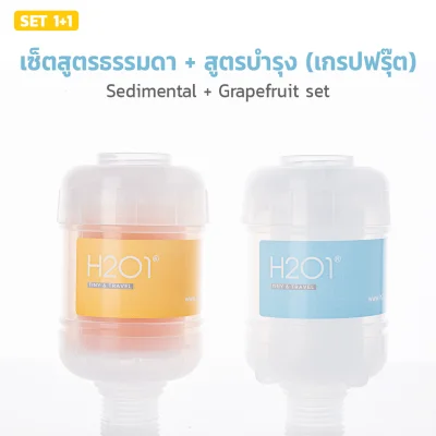 [1+1 set] H201LIFE SHOWER FILTER (Vitamin Filter + Sedimental Filter)