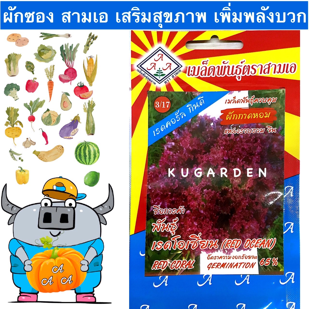 AAA 🇹🇭 ผักซอง สามเอ  ผักสลัด A3/17#เรดโอเชี่ยน เมล็ดพันธุ์ ผักซอง เมล็ดพันธุ์ผัก เมล็ดผัก ผักสวนครัว ตราAAA