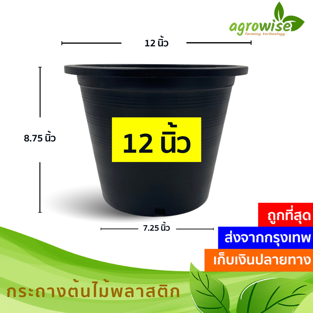 กระถางปลูกต้นไม้ กระถางพลาสติก กระถางต้นไม้พลาสติก ถาดรองกระถาง 12 นิ้ว สีดำ กระถางดำ