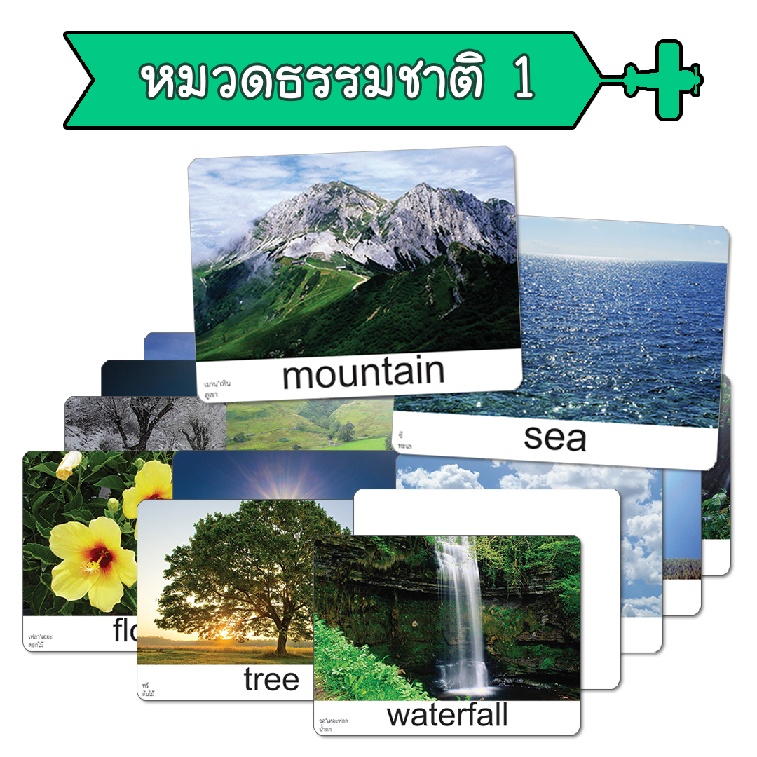 🌳หมวดธรรมชาติ 1🌳 แฟลชการ์ด หมวดธรรมชาติ 1 Natural บัตรคำ แนวการสอนเดียวกชิจิดะ เฮกบัตรคำศัพท์  Flashcard