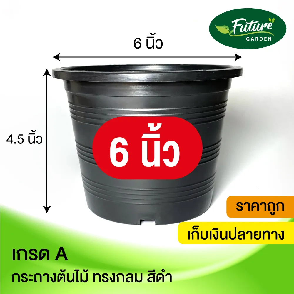 💥กระถาง6นิ้ว 10-50ใบ สีดำเกรดA ราคาถูกมาก! กระถางราคาถูก กระถางพลาสติก กระถางต้นไม้ กระถางกลม