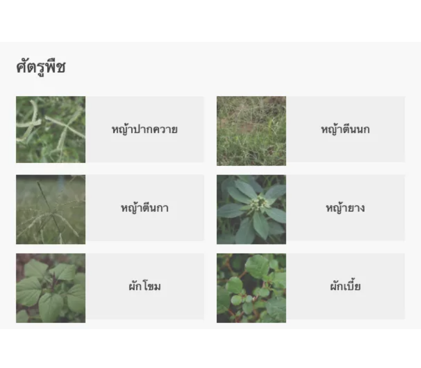 ขายยกลัง-3